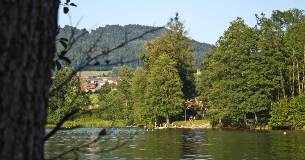 Hotel Der Seehof Hauzenberg Dış mekan fotoğraf